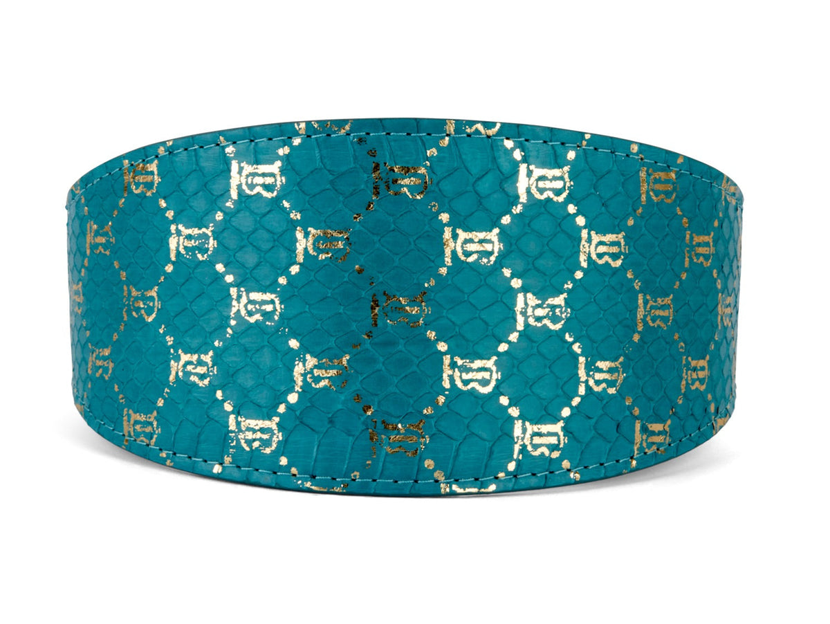Allysa Payne Teal & Gold Monogram Snake 3-Inch Wide Style Dog Collar