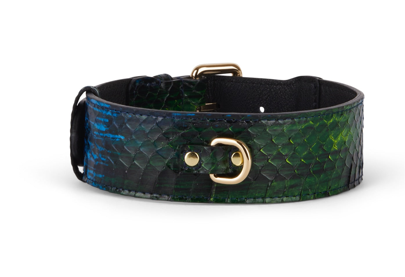 Allysa Payne Blue, Green, Black, Yellow Snake Classic Dog Collar
