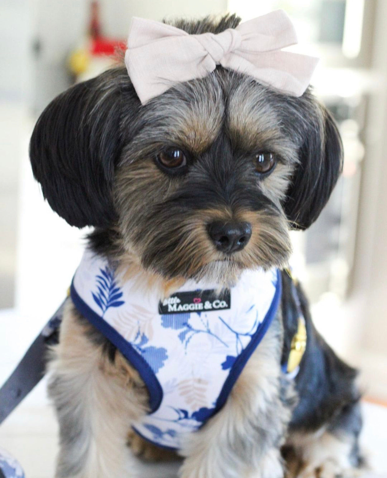 Breezy Reversible Harness