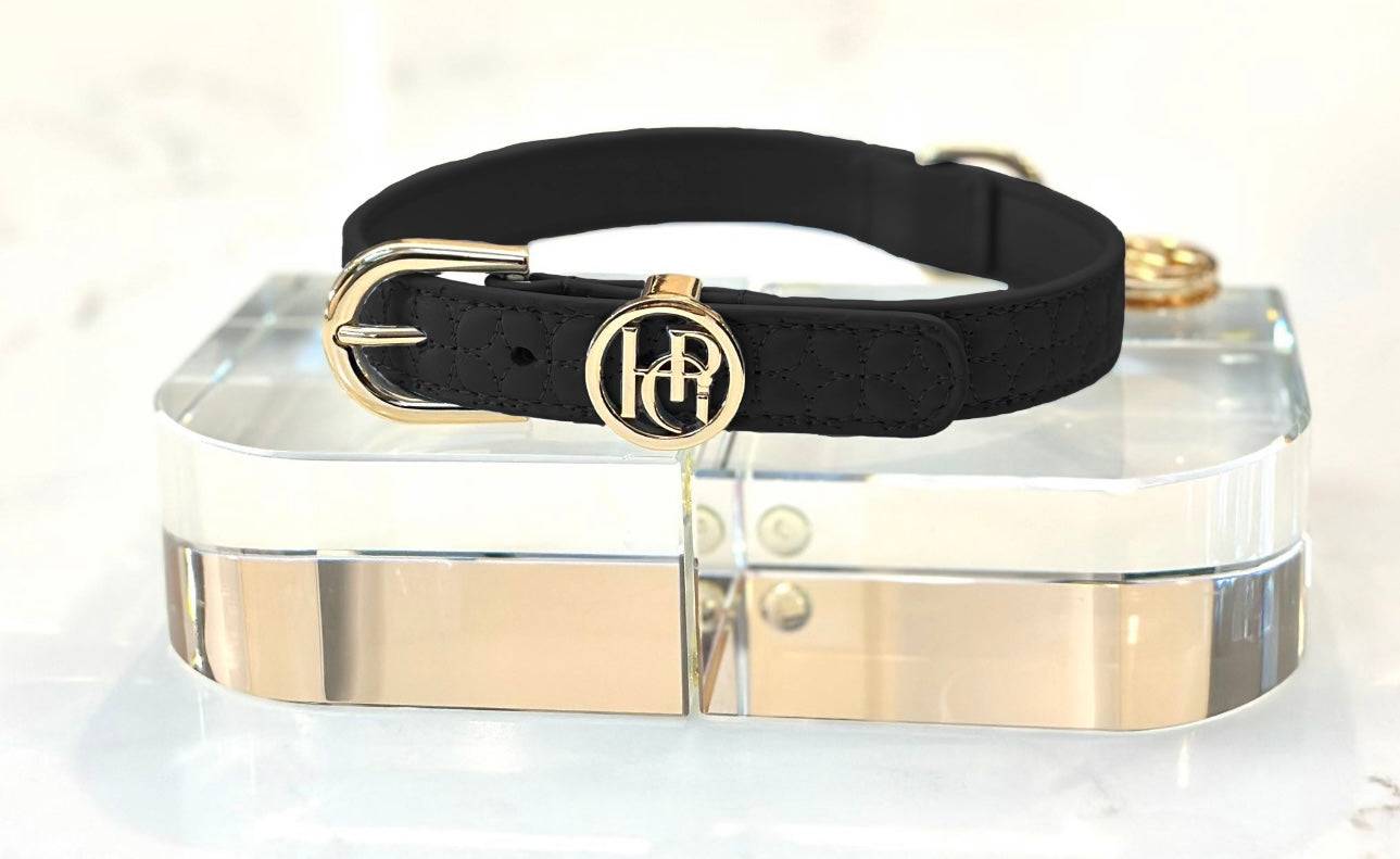 Novalie Jet Dog Collar