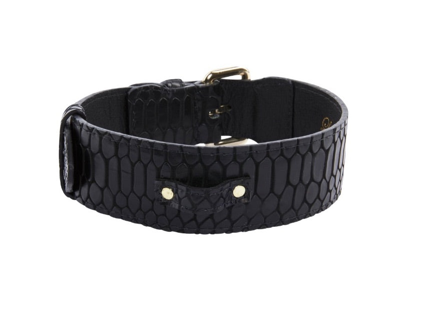 Allysa Payne Black Embossed Snake Italian Leather With Gold Classic Hardware Dog Collar
