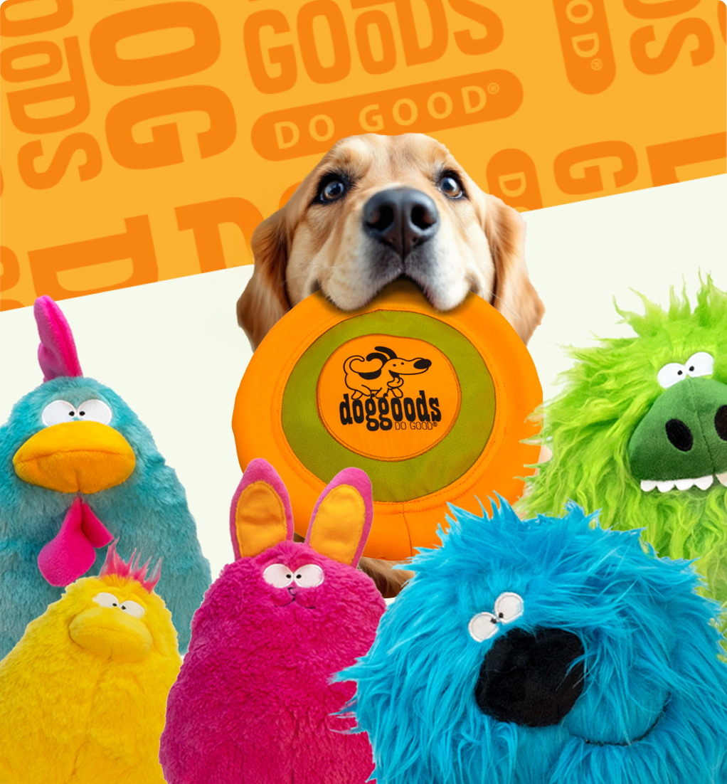 Fun Dog Toy by DogGoods