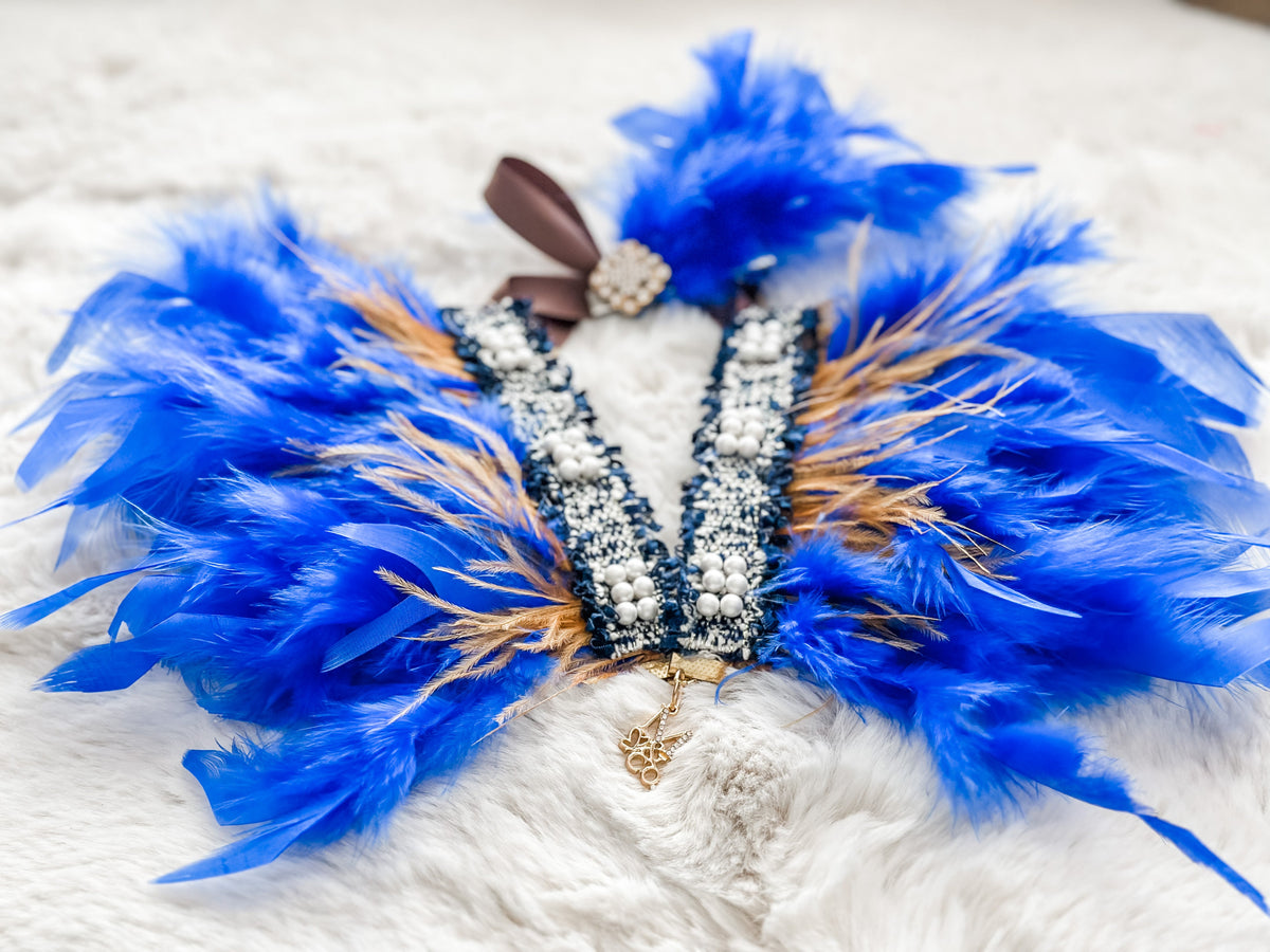 Haute: Royal Blue