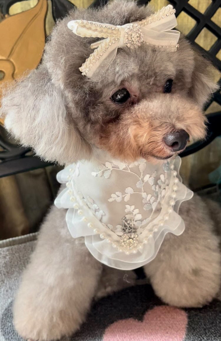 Romance Collection: Forever