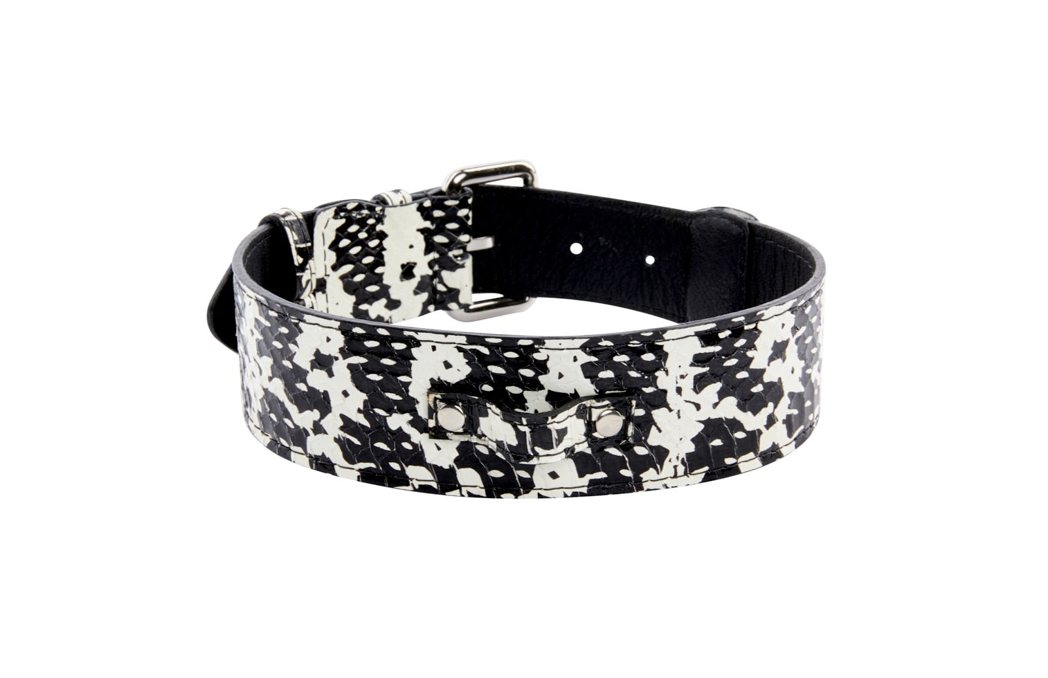 Allysa Payne Black & White Snake/Classic Dog Collar With Silver Hardware
