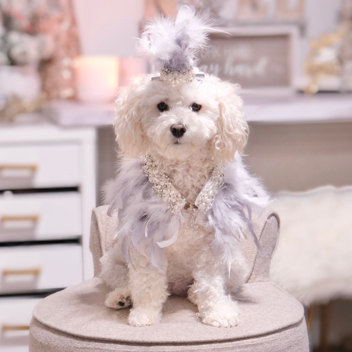 Feather Collar Collection: Fantasy