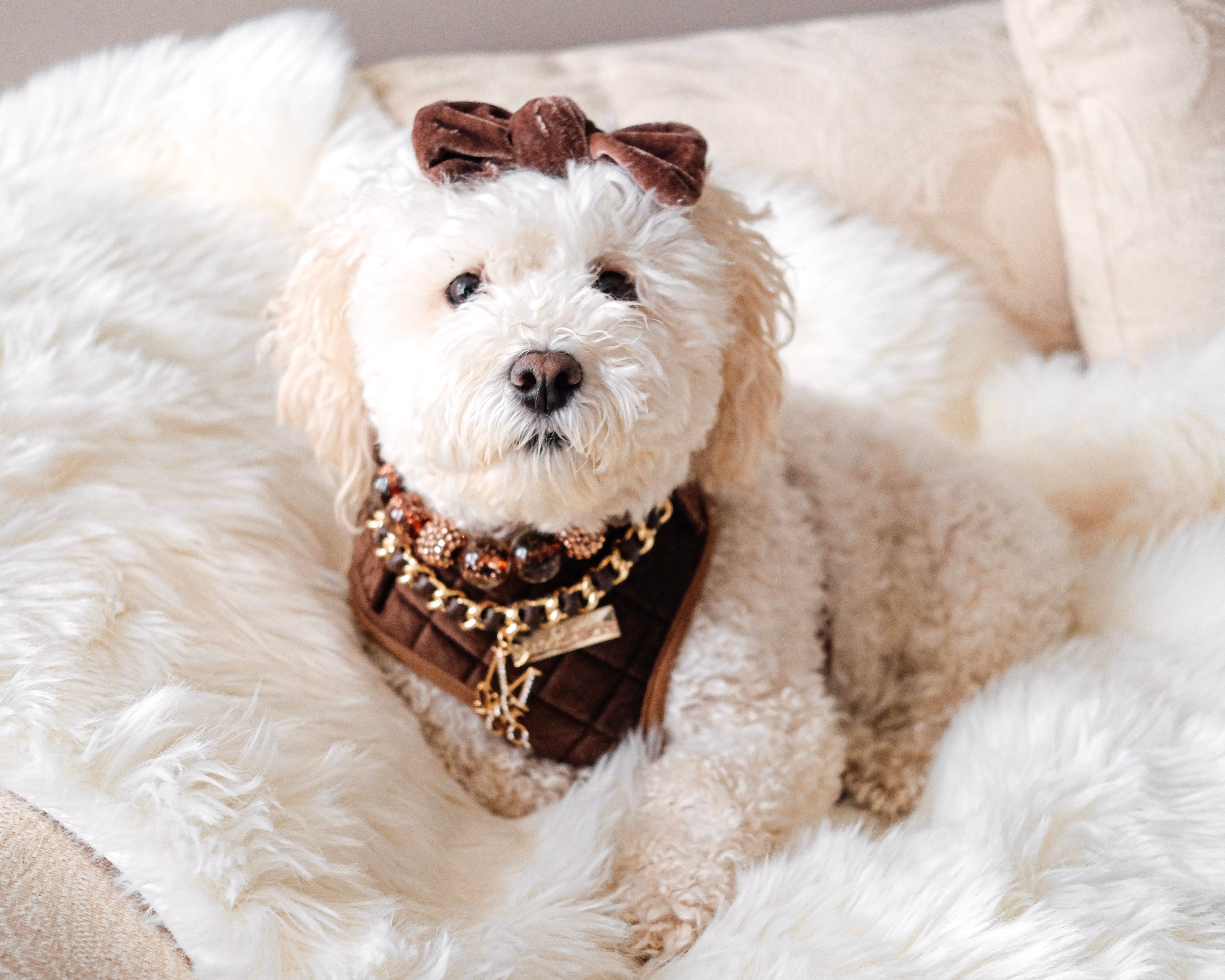 Necklace: Rocker & Rebel