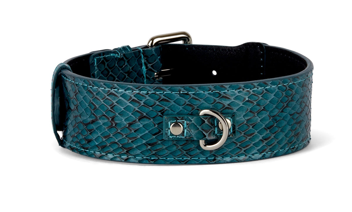 Allysa Payne Teal and Black Snake Classic Dog Collar