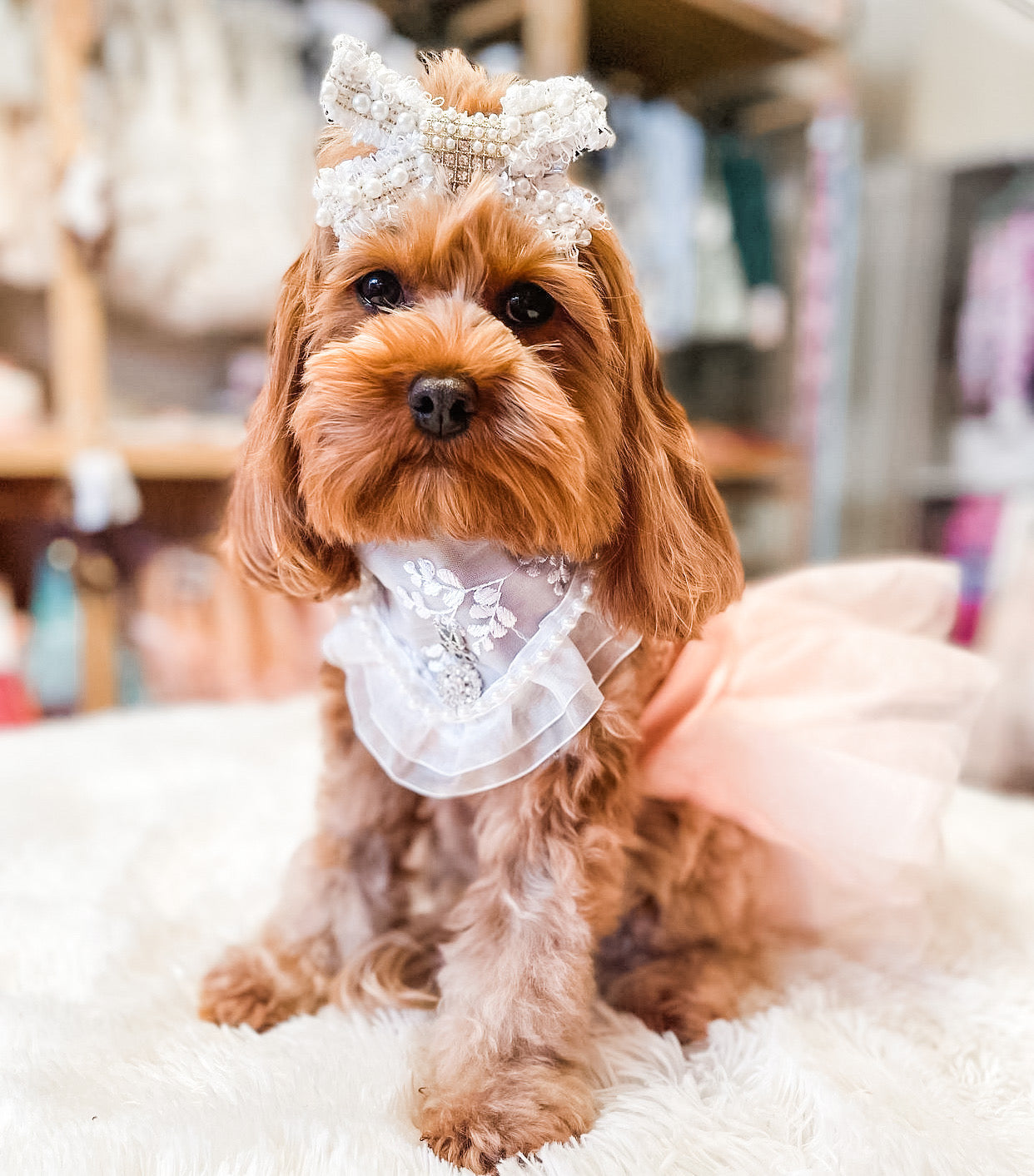 Romance Collection: Forever