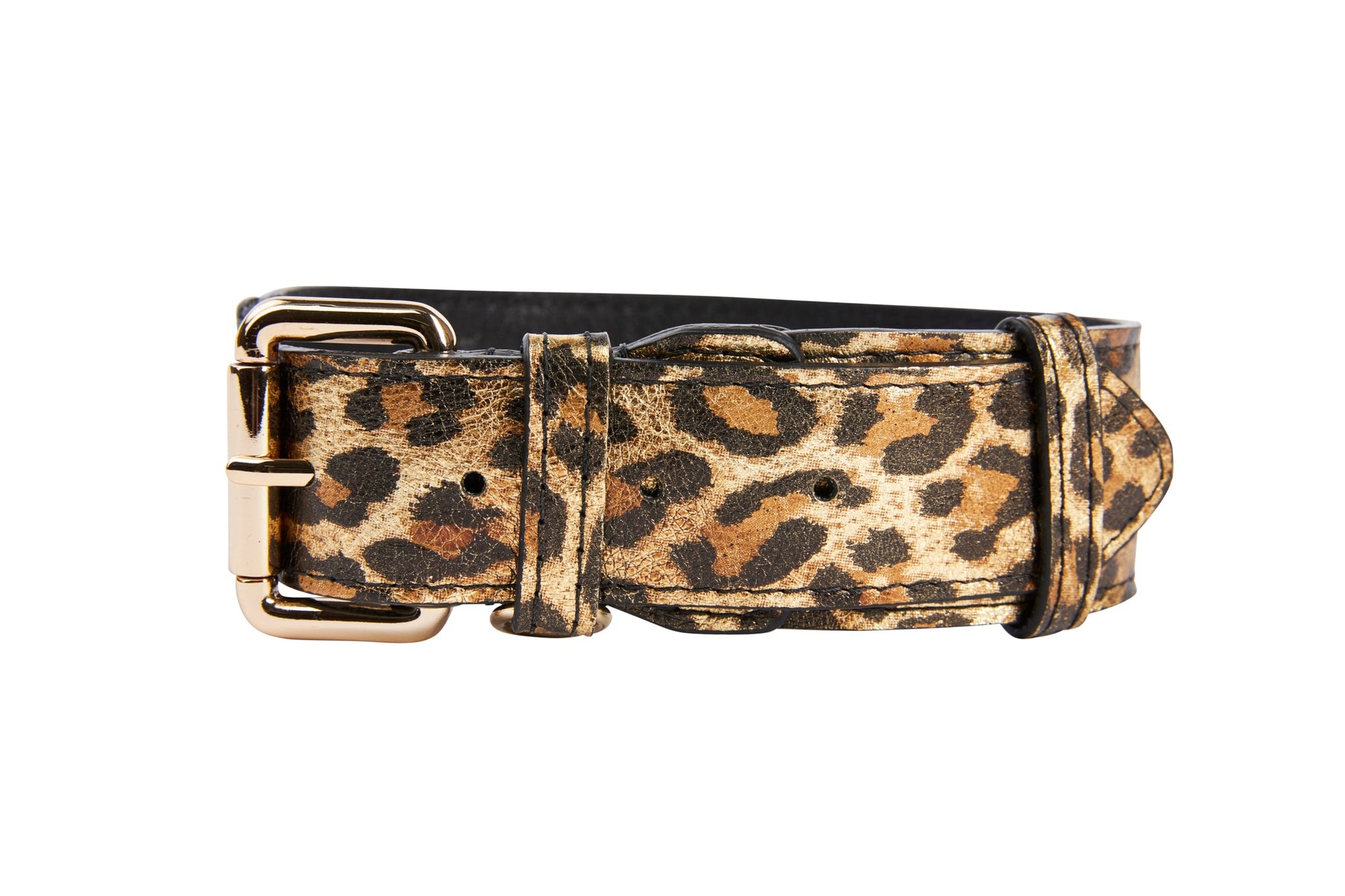Allysa Payne Leopard Print Italian Leather Dog Collar With Gold Classic Hardware
