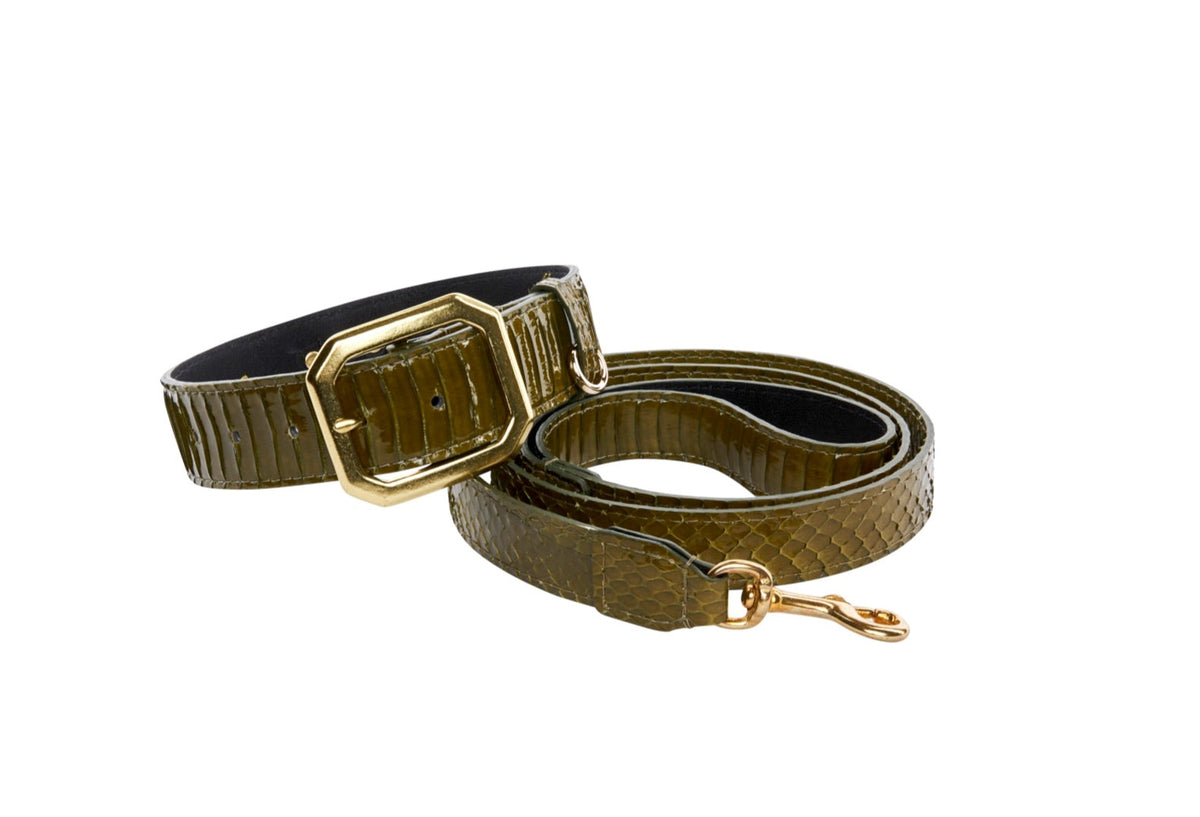 Allysa Payne Olive Green Snake Dog Collar & Leash Set