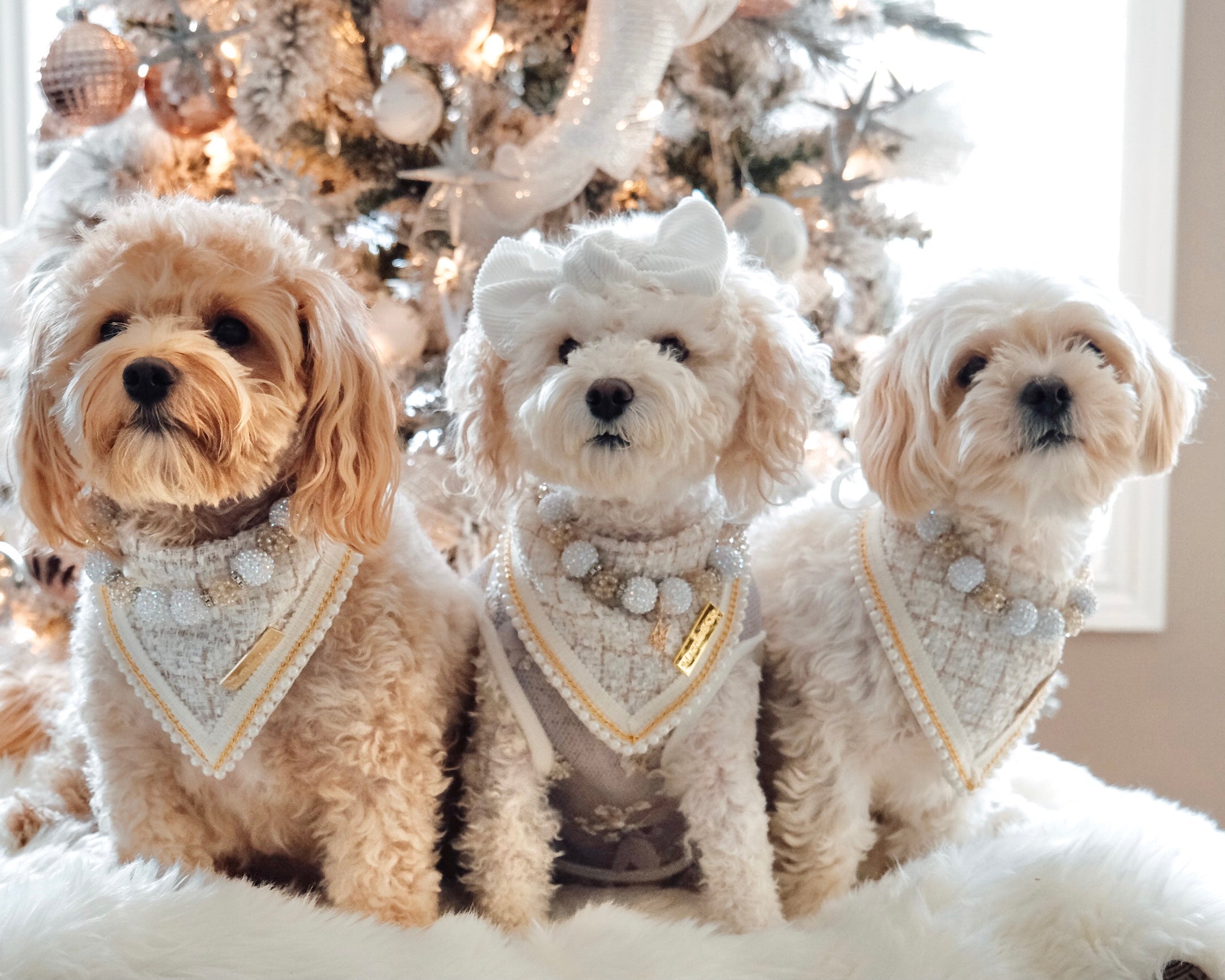 Coco Runway: Mademoiselle Coco Bandana