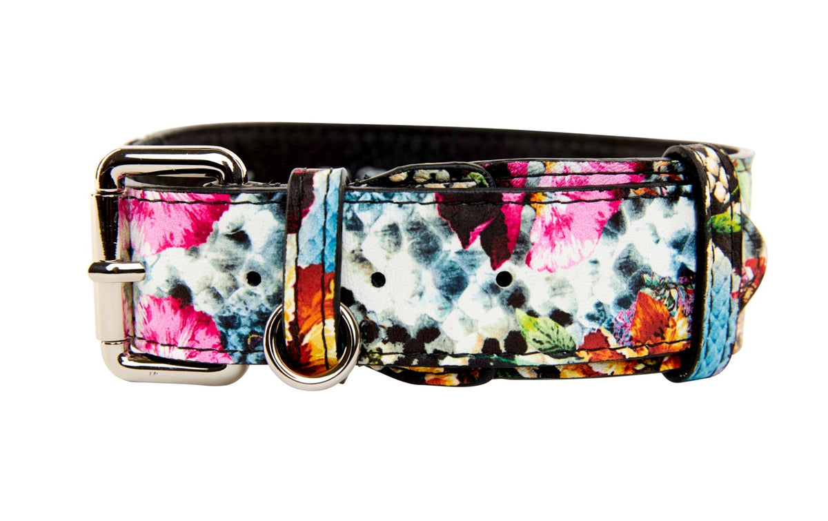 Allysa Payne Floral, Scull, Snake Print Italian Leather Dog Collar With Silver