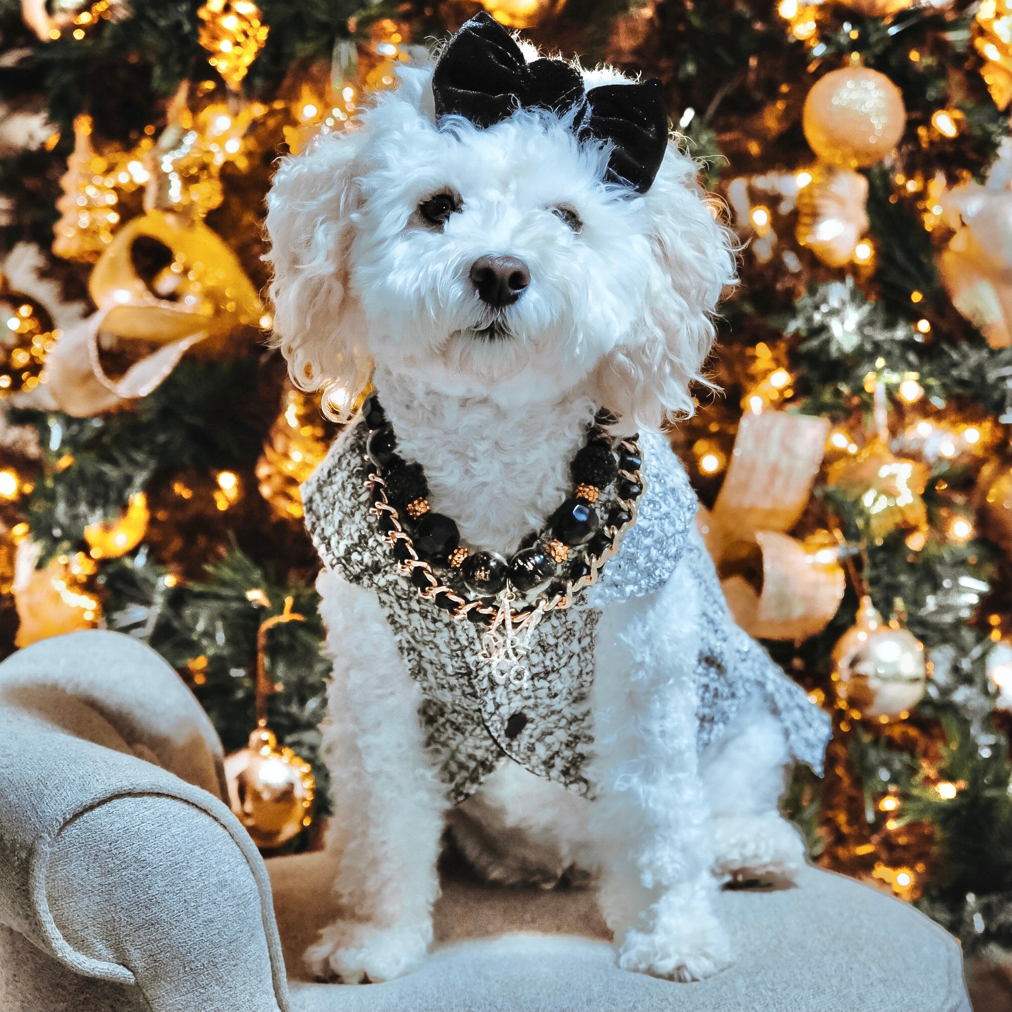 Necklace: Hammy & Brody
