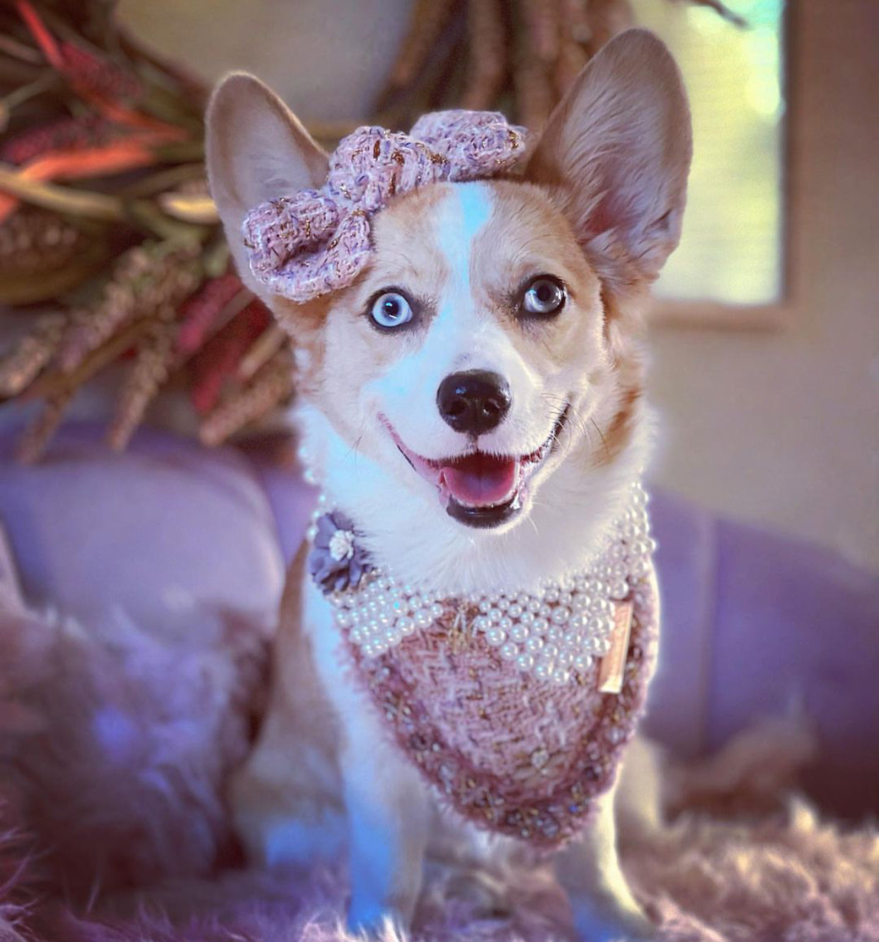 Special Edition: The Rebel