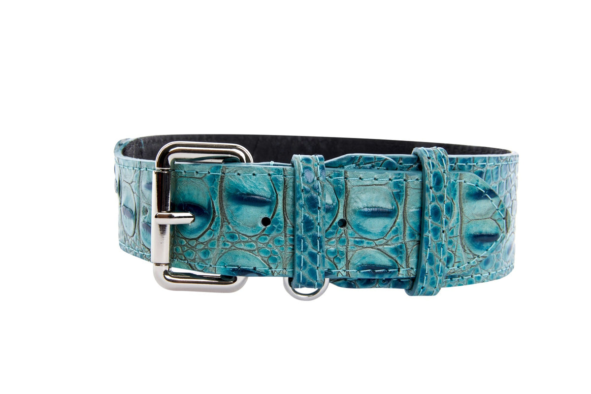 Allysa Payne Turquoise Embossed Croc Italian Leather With Silver Classic Hardware Dog Collar