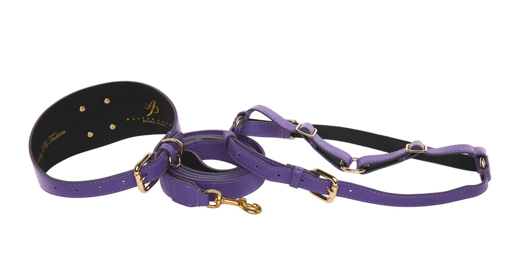 Allysa Payne Purple Italian Leather 3-Inch Wide Style Dog Collar, Leash & Harness Set