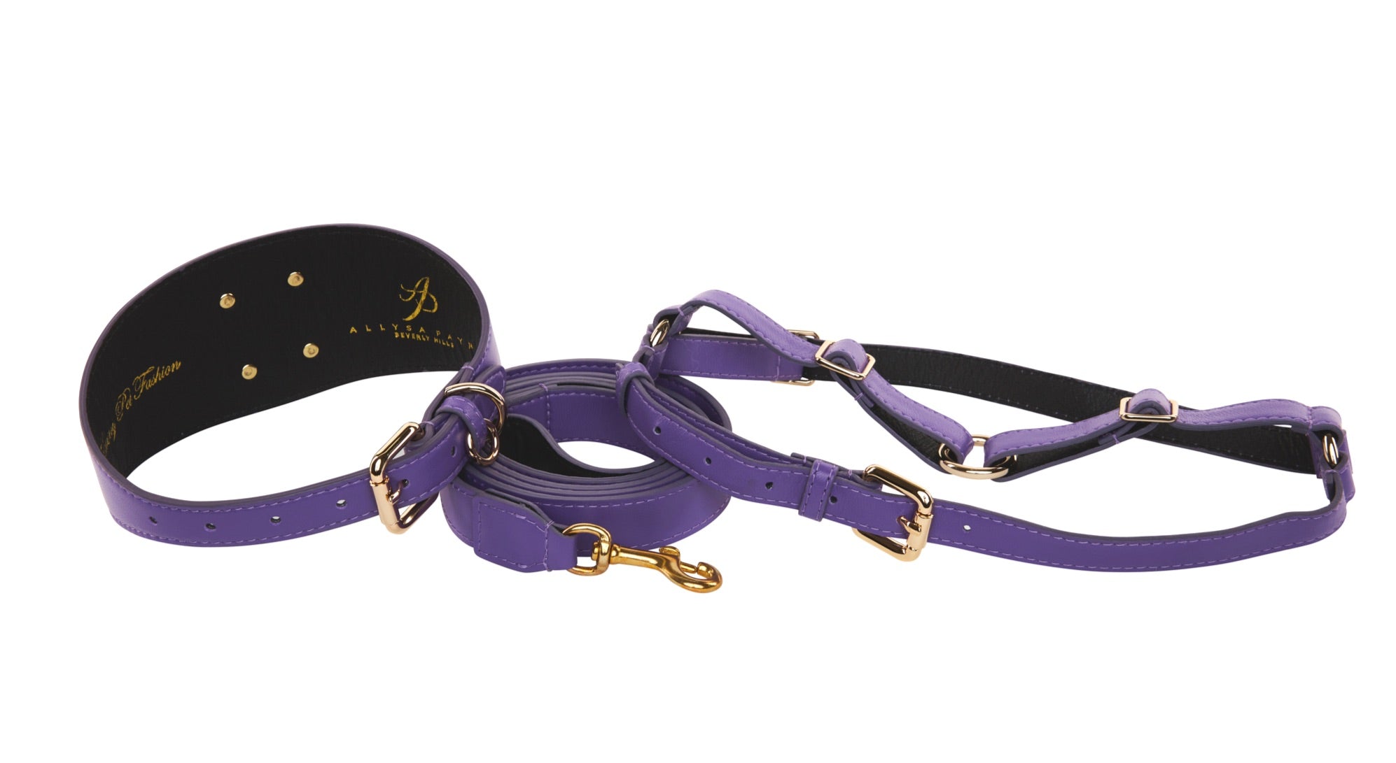 Allysa Payne Purple Italian Leather 3-Inch Wide Style Dog Collar, Leash & Harness Set
