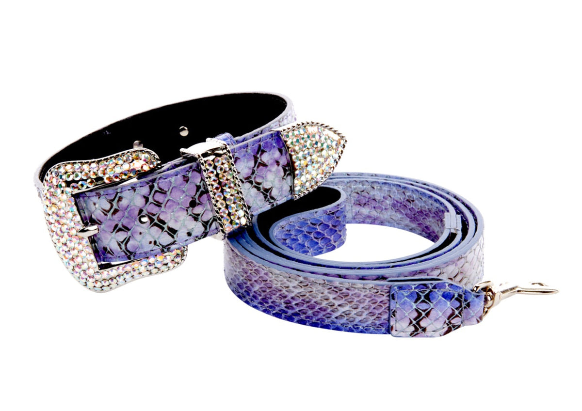 Allysa Payne Purple/Silver/Black Custom Iridescent Snake/Swarovski Crystal Dog Collar & Leash Set