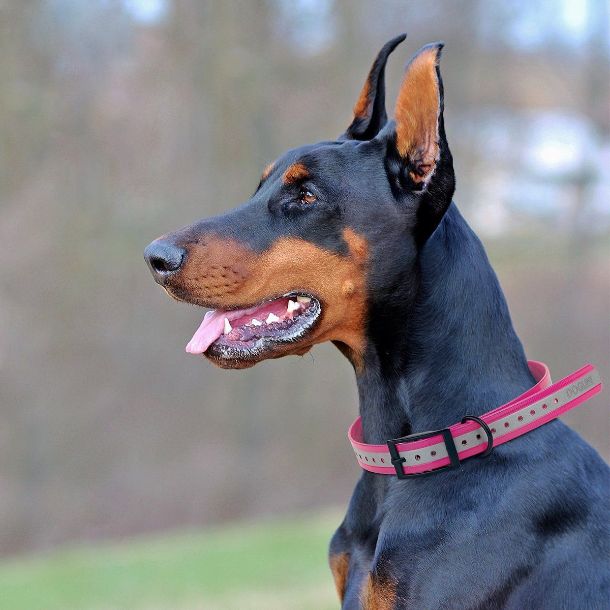 Dogline BioThane E-Collar Replacement Reflective Strap