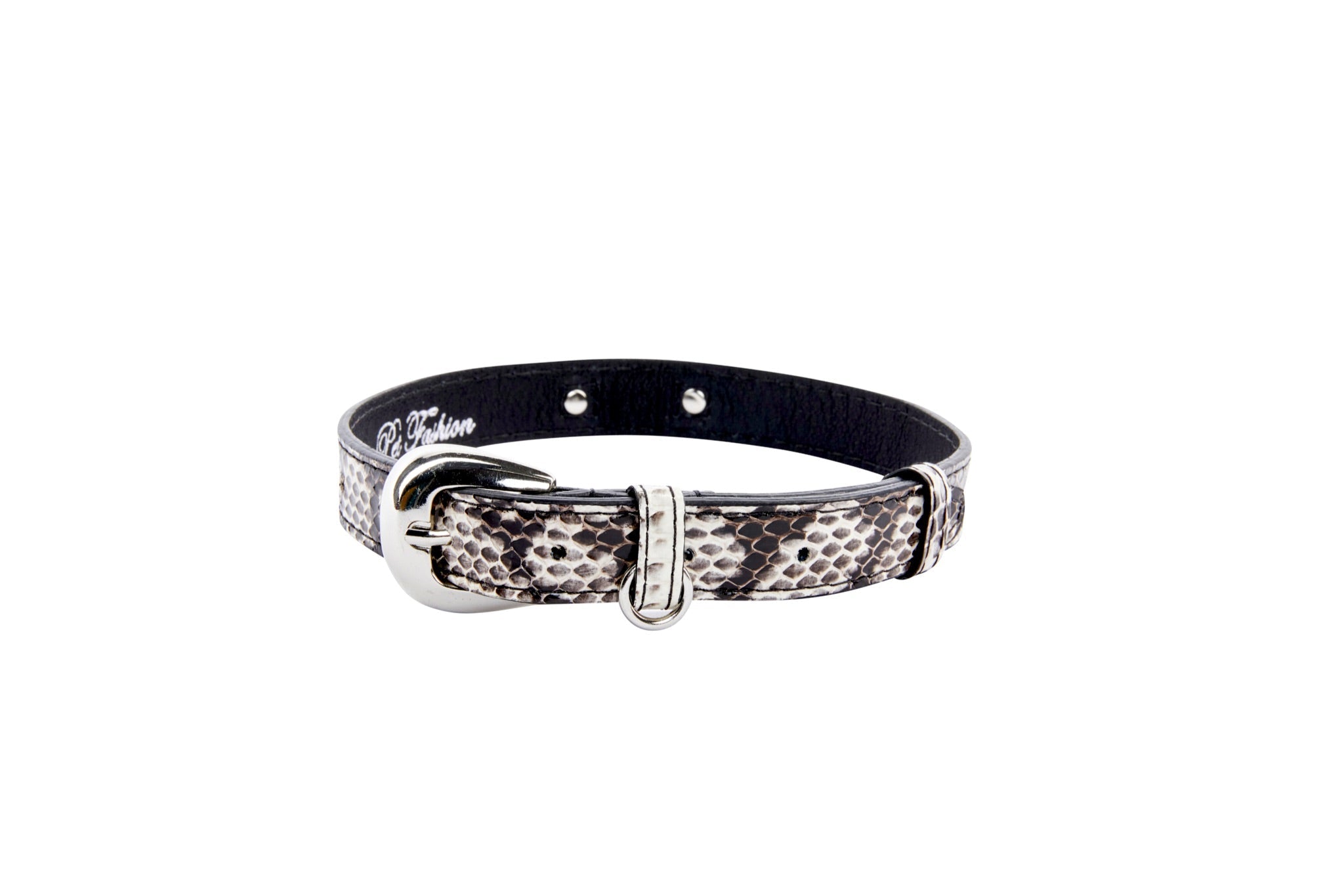 Allysa Payne Black & White Viper Snake Dog Collar With Silver Oval Italian Hardware