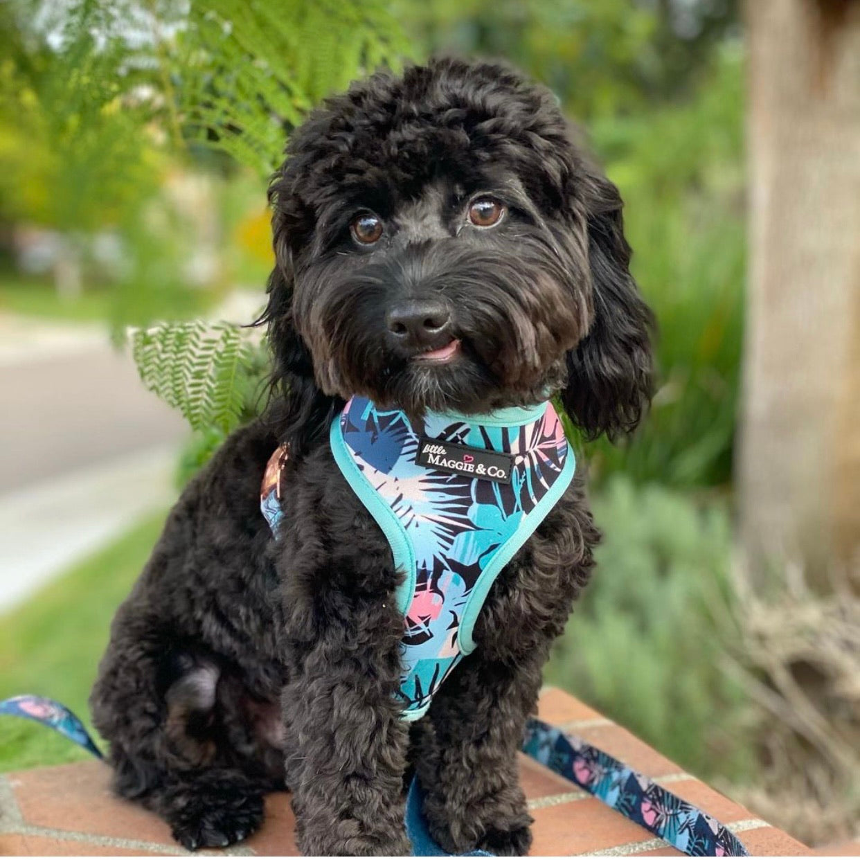 Keep Palm Reversible Harness