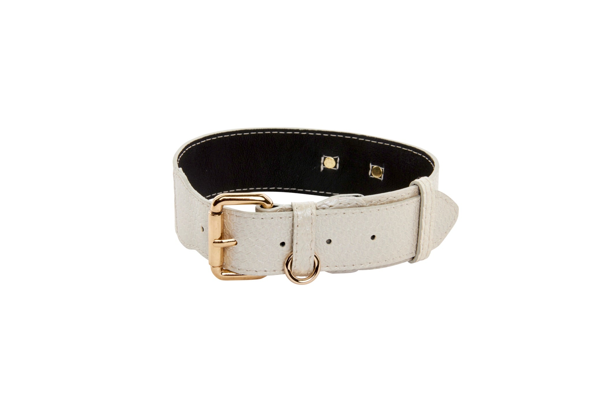 Iridescent Off White Snake Collar With Gold Classic Hardware
