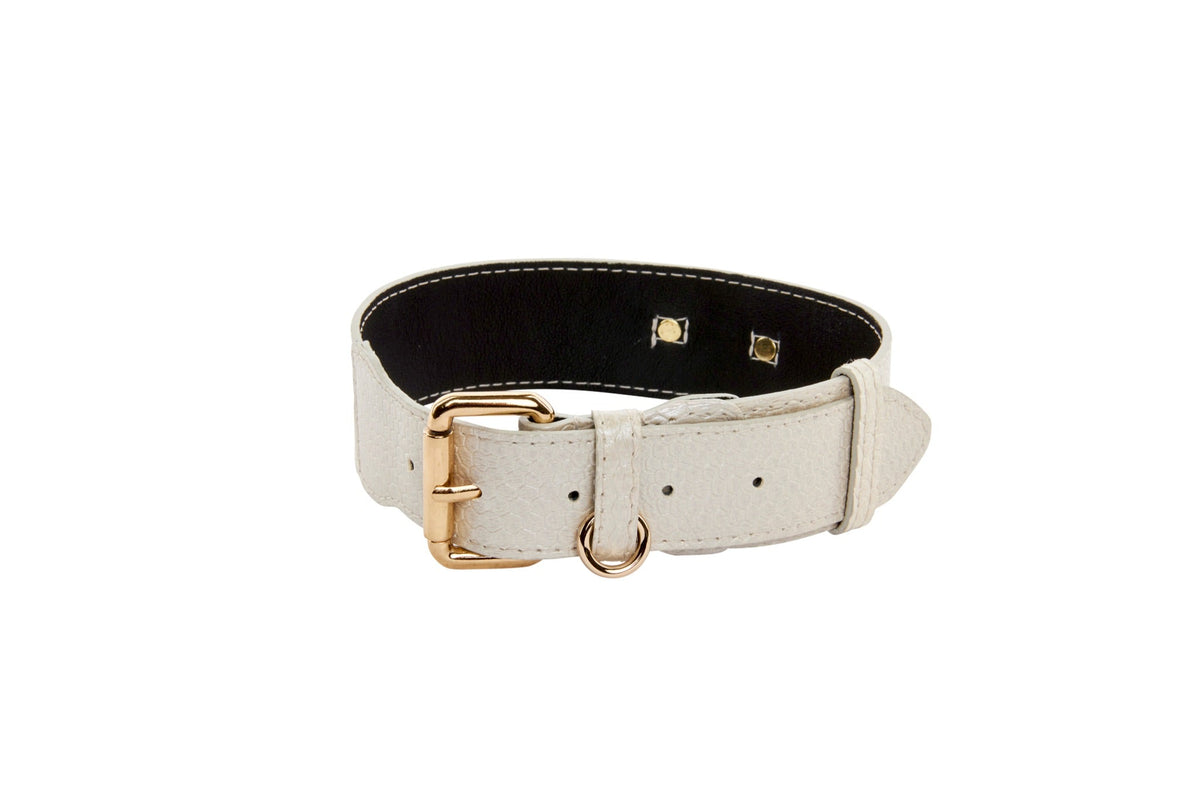 Allysa Payne Iridescent Off White Snake Dog Collar With Gold Classic Hardware
