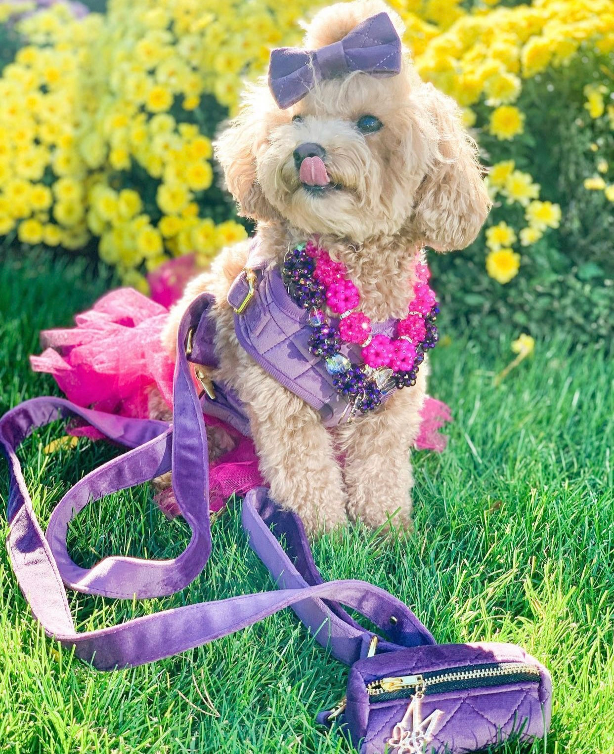 Velvet: The Susana Harness