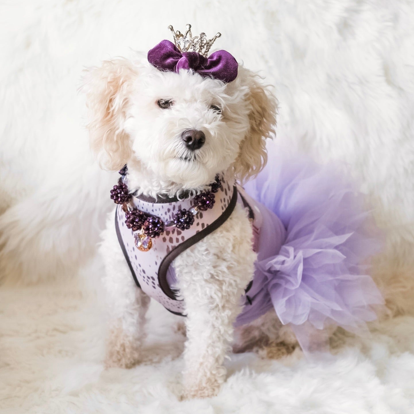 Necklace: The Susana