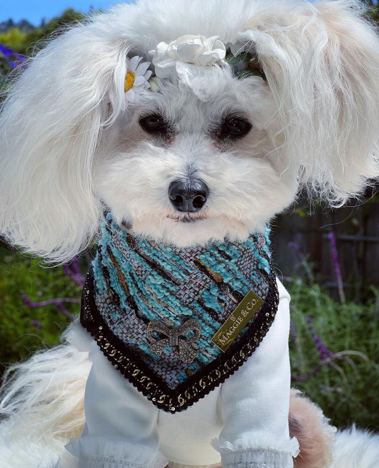 Special Edition: The Theo Bandana