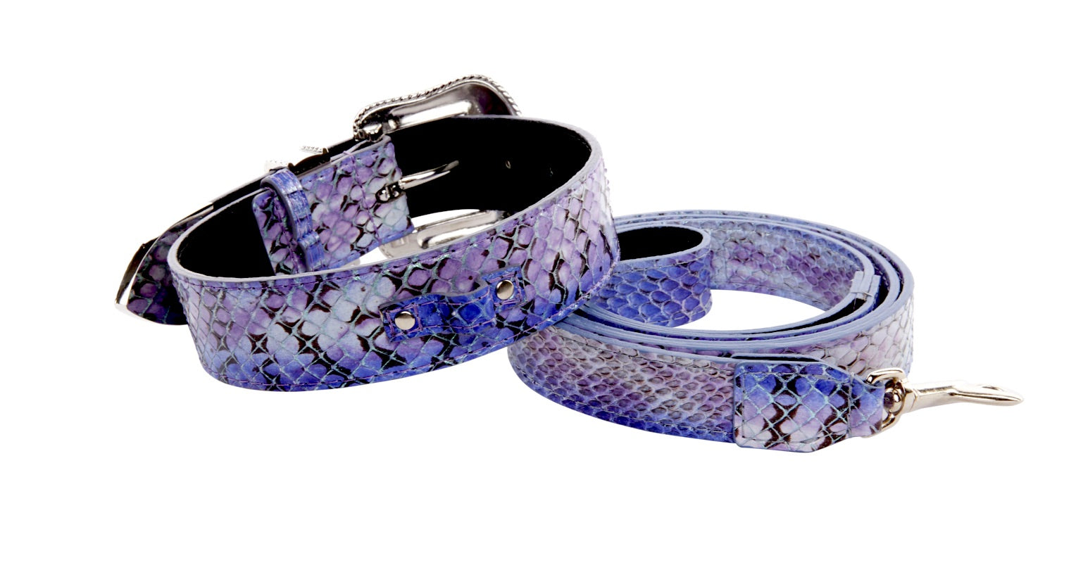 Purple/Silver/Black Custom Iridescent Snake/Swarovski Crystal Collar & Leash Set