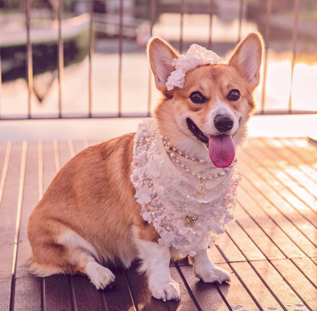 Celebrations II: The Pearl