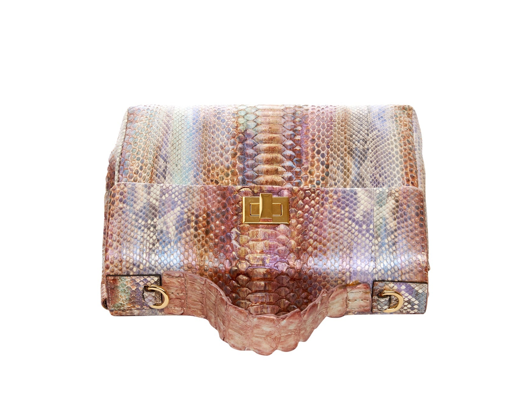 Allysa Payne Iridescent Python & Business/Travel Bag