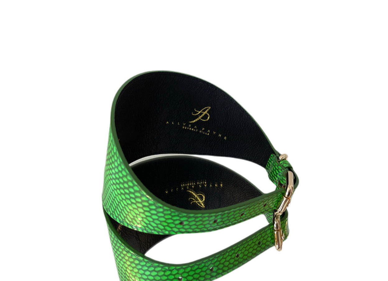 Allysa Payne Luxury Pet Fashion Neon Green Snake 4" Oval Dog Collar