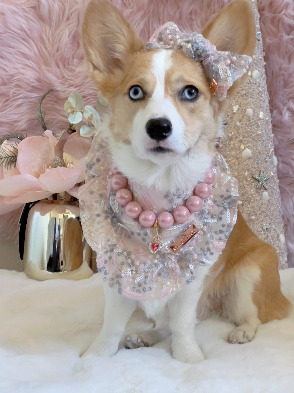 Celebrations: The Charlamagne Set