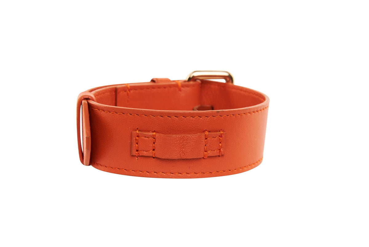 Allysa Payne Small Orange Italian Leather Classic Dog Collar