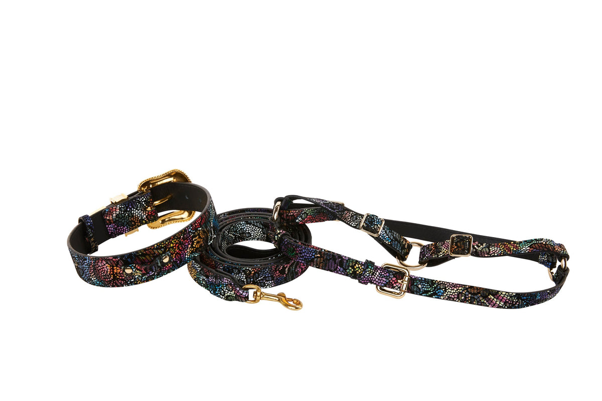 Allysa Payne Floral/Lace Embossed Italian Leather Swarovski Crystal Hardware Dog Collar, Leash & Harness Set