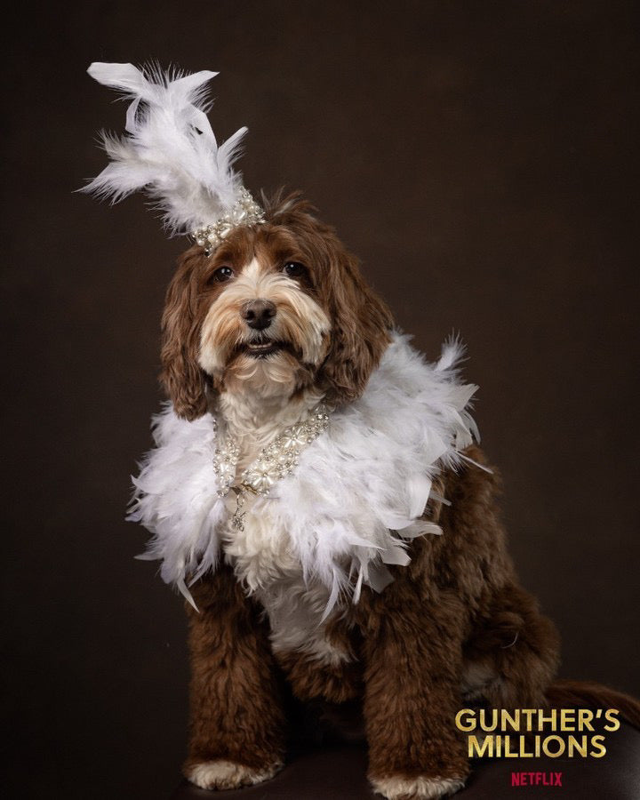 Feather Collar Collection: Fantasy