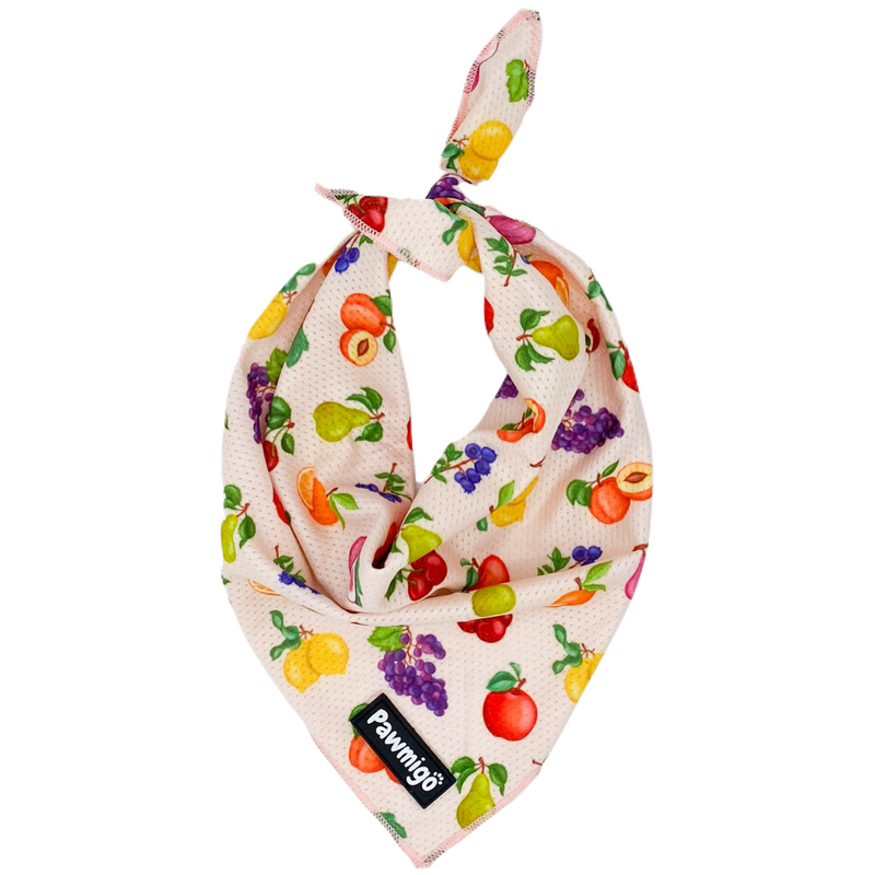 Frootie Patootie Cooling Bandana