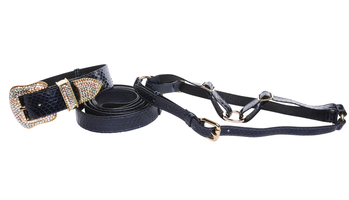 Allysa Payne Navy Blue Snake Swarovski Crystal Hardware Dog Collar, Leash & Harness Set