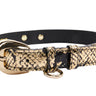 Gold & Black Snake Collar With Oval Gold Hardware