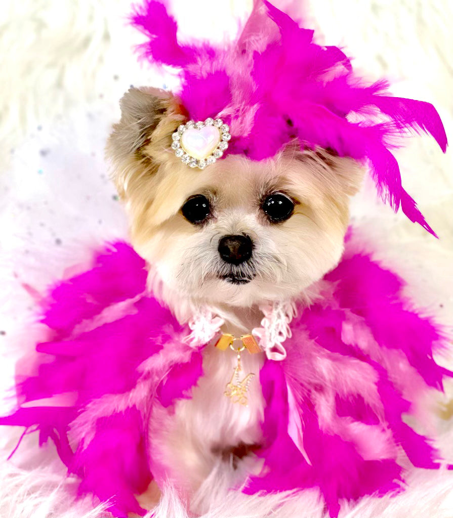 Haute: Bombshell