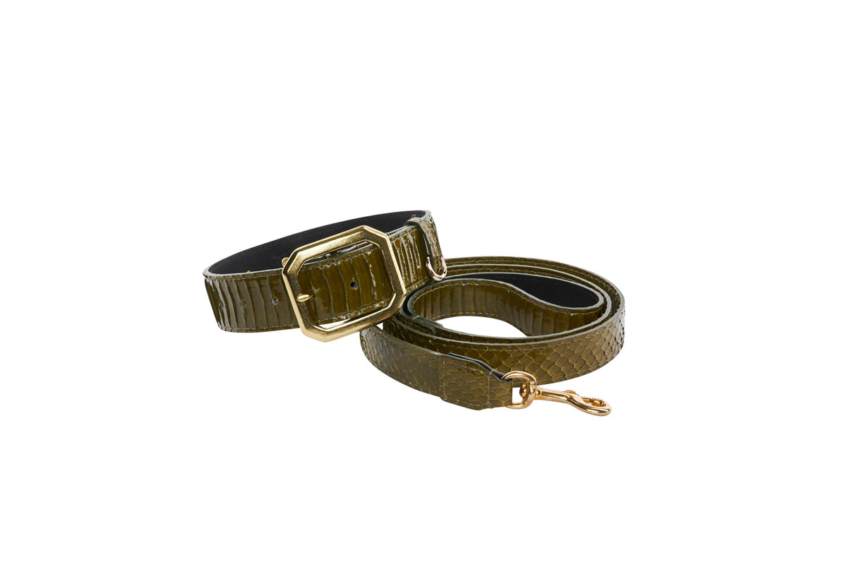 Allysa Payne Olive Green Snake Dog Collar & Leash Set