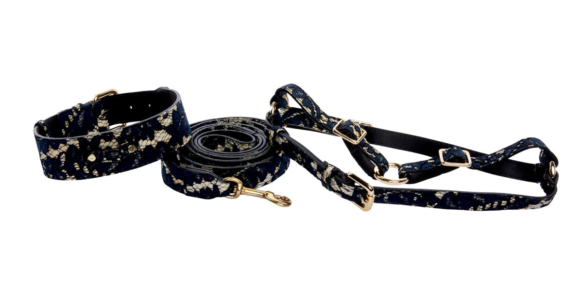 Allysa Payne Dark Navy Lace On Gold Italian Leather Classic Dog Collar, Leash & Harness Set