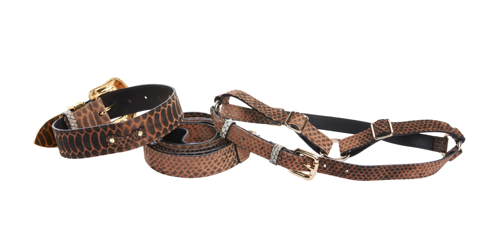 Allysa Payne Brown/Black Embossed Snake Italian Leather Dog Collar, Leash & Harness Set