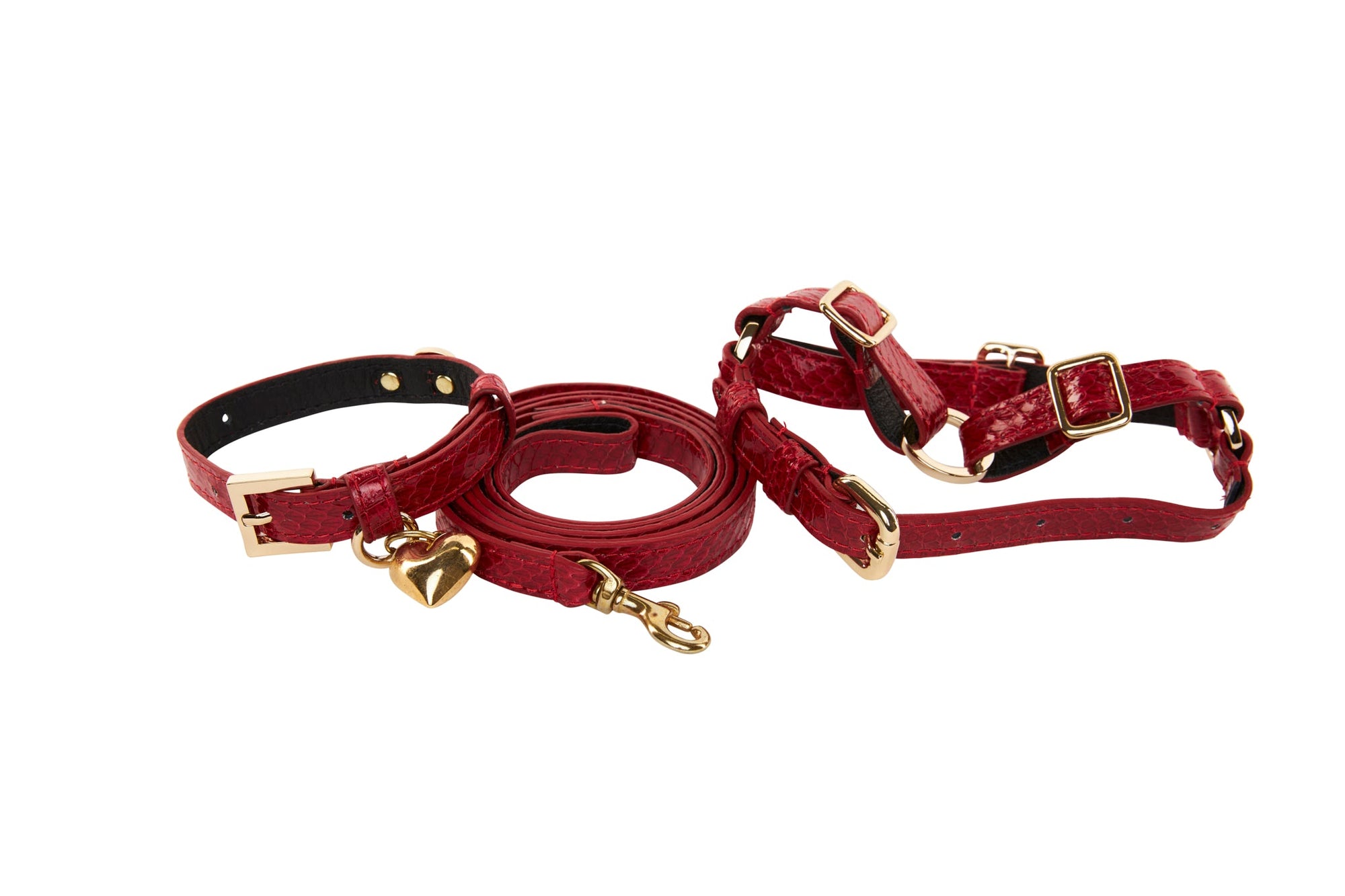 Allysa Payne XS Red Viper Snake Dog Collar, Leash & Harness Set