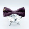 Velvet: The Susana Bow Tie