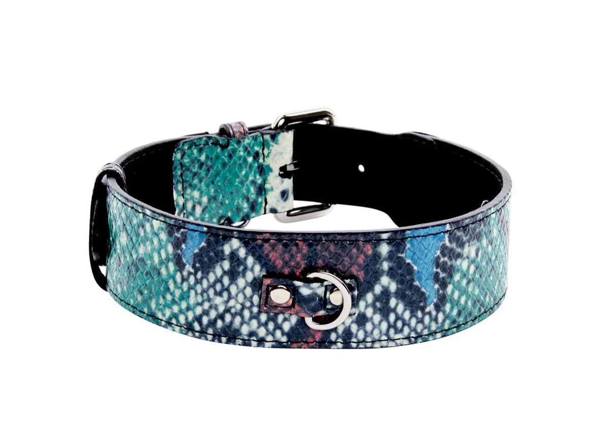 Allysa Payne Green, Blue, Black, Red Embossed Snake Italian Leather Dog Collar With Gold Classic Hardware