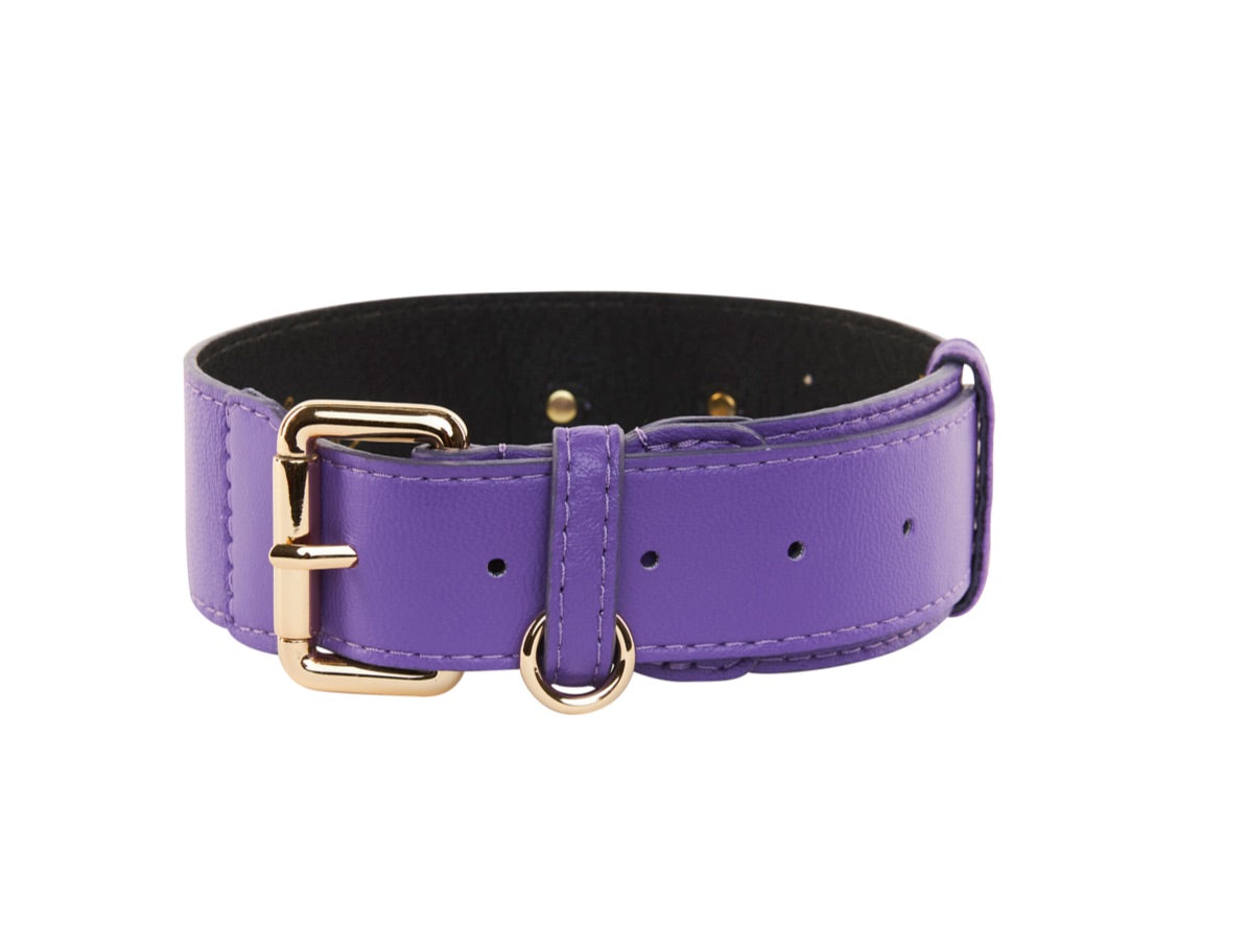 Allysa Payne Purple Italian Leather Classic Dog Collar